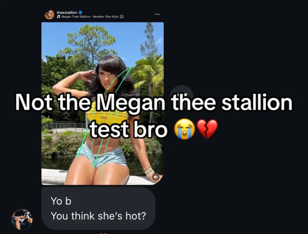 #lebron #megantheestallion #toxic 