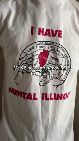 this can’t be the same state Sufjan was singing about #illinois #illinoisnation #normal 