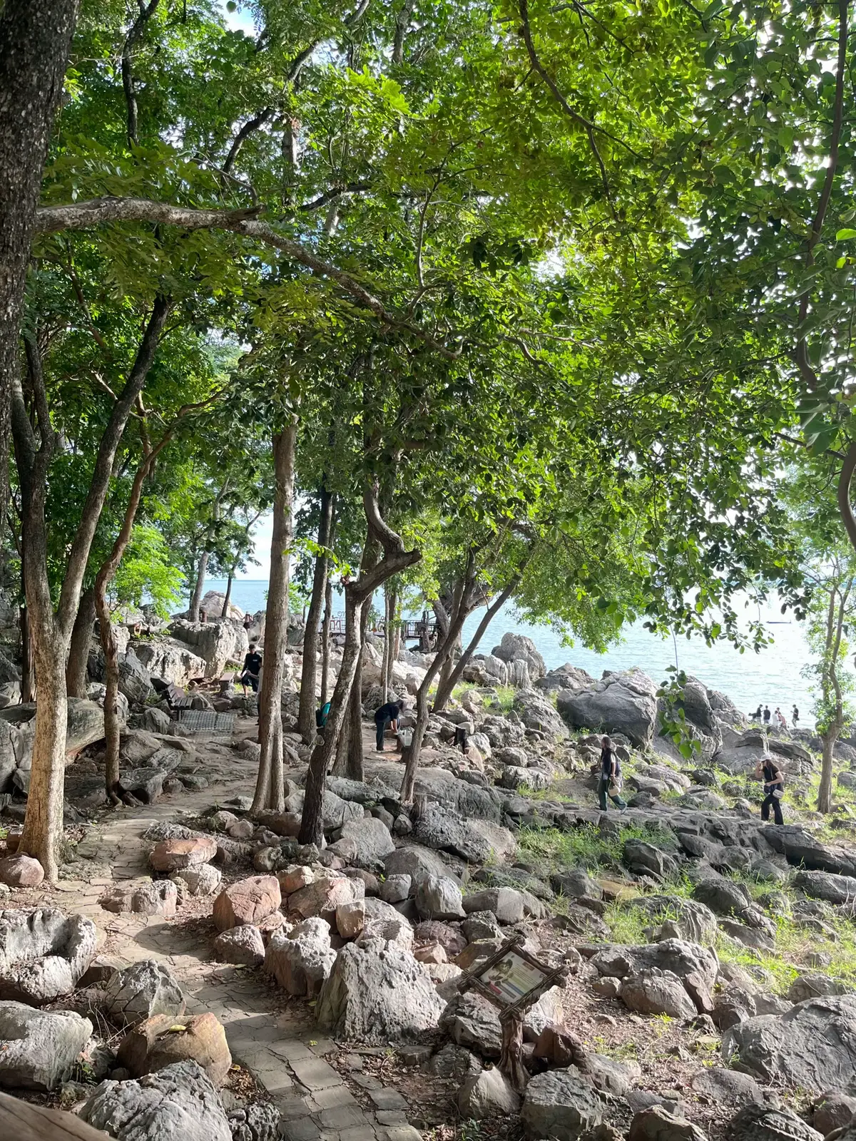 📍ที่เที่ยวฟิลทะเล ขับรถจากตัวเมืองมาไม่ไกล เลยช่องเขาขาดหนองบัวลำภู ขับเข้ามาในอุทยานได้เลย ไม่มีค่าใช้จ่าย ข้างในมีคาเฟ่ นั่งชมวิวพระอาทิตย์ตก ถ่ายรูปออกมาสวยมาก ไปแล้วไปอีก ไม่เบื่อ ชอบบบบ #อุทยานภูเก้าภูพานคํา💚 