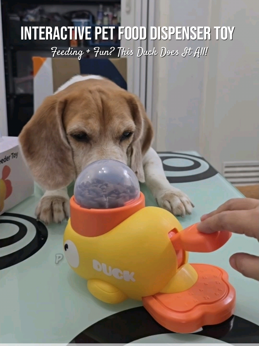 Interactive Pet Food Dispenser Toy #smartpettoy #interactivetoys #smarttoys #fooddispenser #dogtoy #toys #duckfeeder 