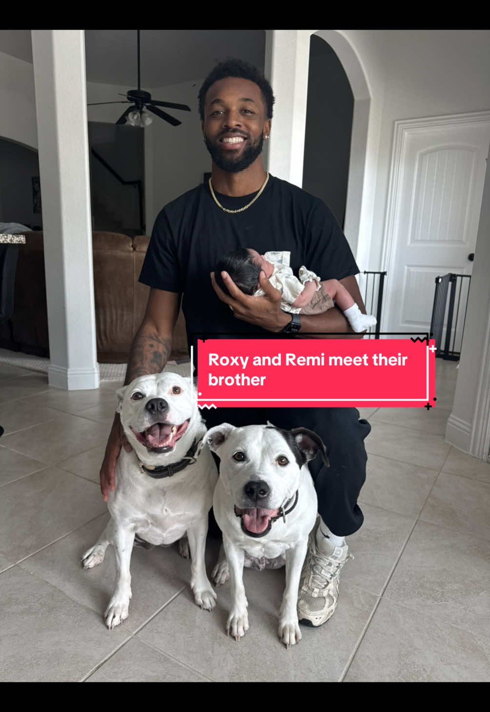 Roxy & Remi finally meet their little brother #newborn #dogs 