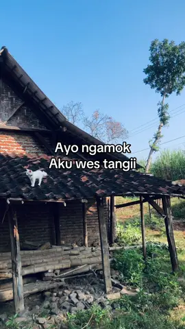 #4u 
