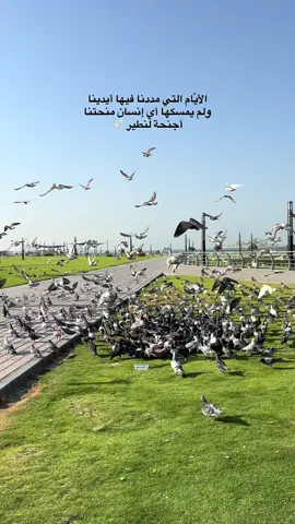 #تصويري  #متيم_في_الهواء_يروي_حكاية_حب_مخفيه 
