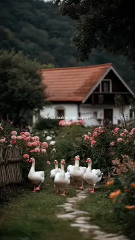 What makes you happy? For me, it’s the quiet moments like these fields, animals, and a little bit of peace. 🌾💛 Tag someone who’d smile watching this.  #whatmakesyouhappy #cottagecoreaesthetic #simpleliving #cozylifestyle #slowlivingmovement #naturetherapy #countryvibes 