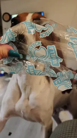 When your dog's sweet tooth is so bad they have to 