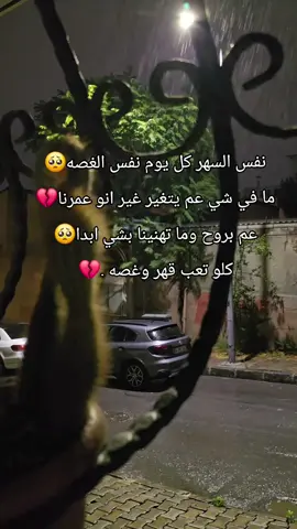 #اعادة_النشر🔃💚❤️💛 #عفرين_راجو_بلبل_شيه_جنديرس #foryou #الحمدلله_دائماً_وابداً #ستوريات 