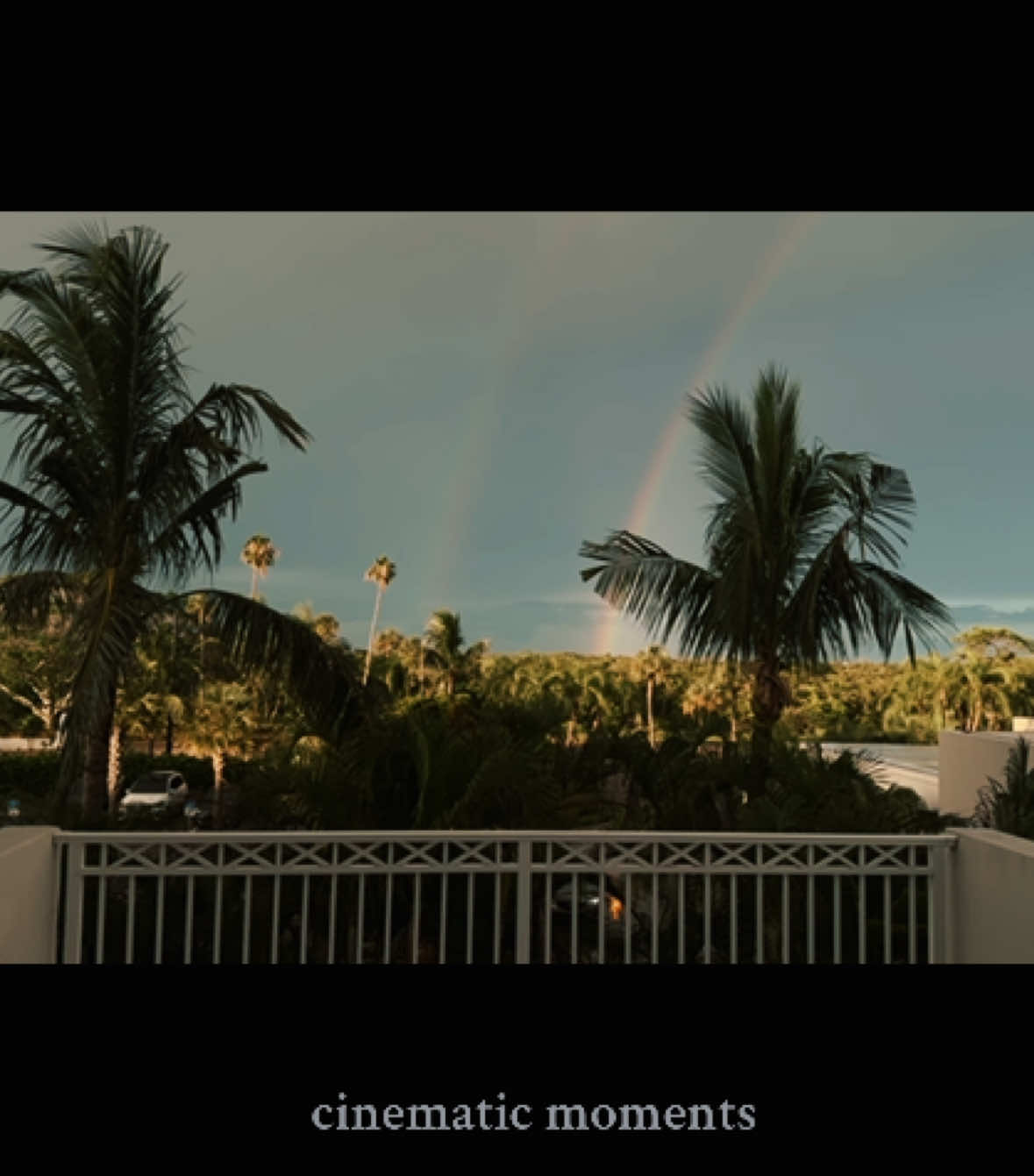 summer through my lens  #cinematic #cinematicmoments #cinematicvideo 