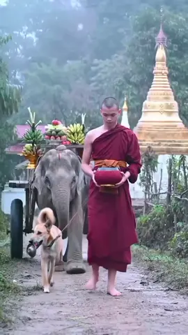 ဆွမ်းတော်ဗျို့...... #ဆွမ်းတော်ဗျို့🙏#ဆွမ်းခံကြွချိန် #သူတော်ကောင်းအပေါင်းတို့ #foryoupage #foryou #aivideos #fyp #ai