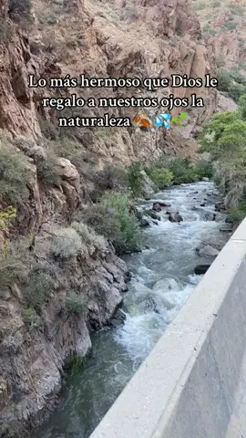 #fypシ゚ #parati #videosnapchallenge #hermosa #naturaleza 