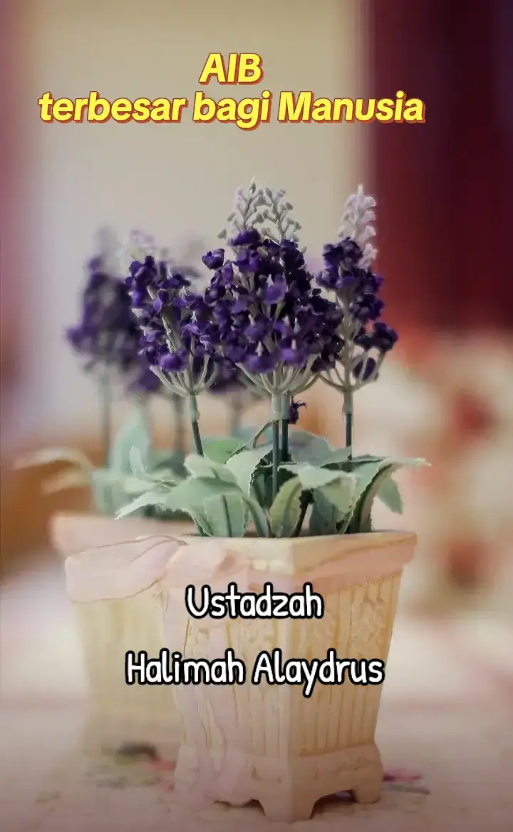 #ngajidiri #ustadzahhalimahalaydrus #muhasabahdiri #catatanustadzahhalimahalaydrus #bersholawat 