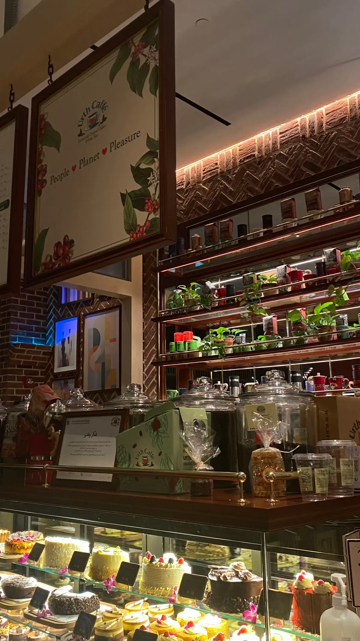#اكسبلور #explore #fyp #riyadh #نورث_يارد #ايرث_كافيه @Urth Caffe Saudi  ‏✩°𓏲⋆🌿🍵✮˚