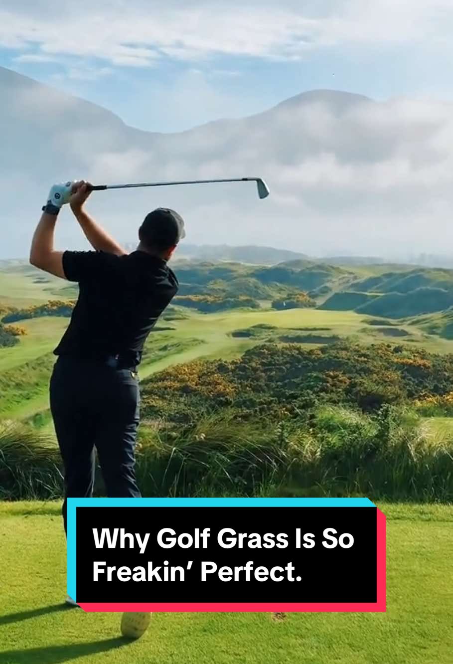 Why Golf Grass Is So Freakin’ Perfect.#SatisfyingVideo #DidYouKnow #fyp #foryou #knowledge #usa_tiktok