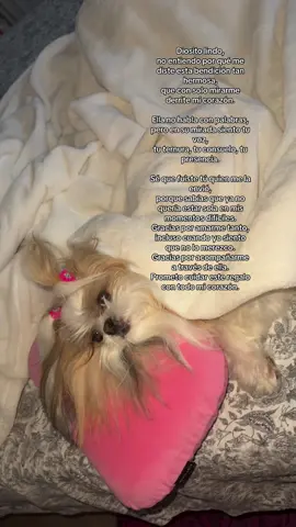 #miamor😍 
