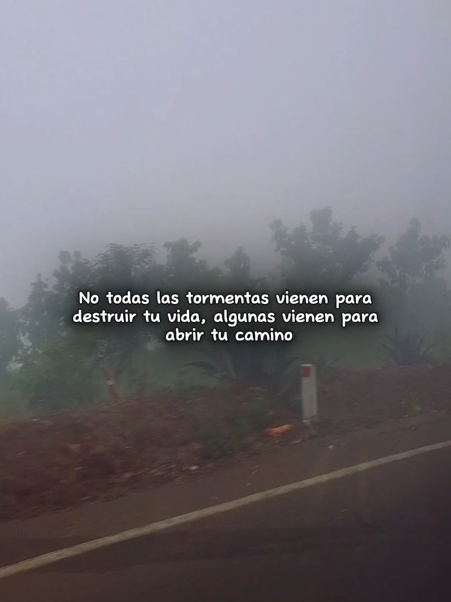 🎶🖤 #likeastone  #audioslave #motivation  #rock  #CapCutMotivacional 