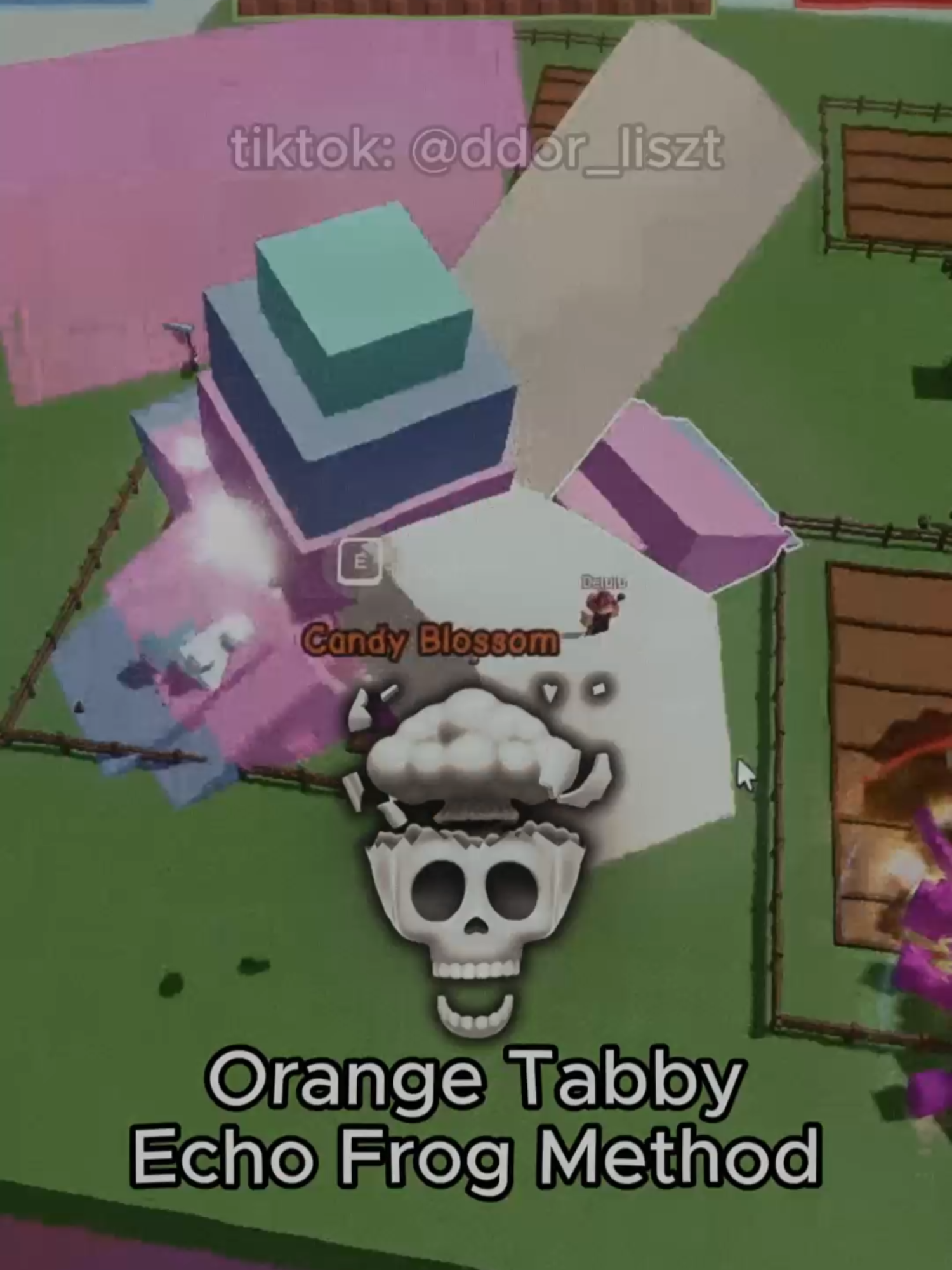 Moon Cat  🤡 vs Orange Tabby 💀 Method Grow a Garden #fyp #roblox #growagarden #candyblossom