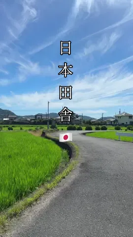 たまに帰り道に見える田んぼが好きだった。✨🍀🍃🌾 #田舎 #夏 #日本 #fyp #sky #ghibli #anime 