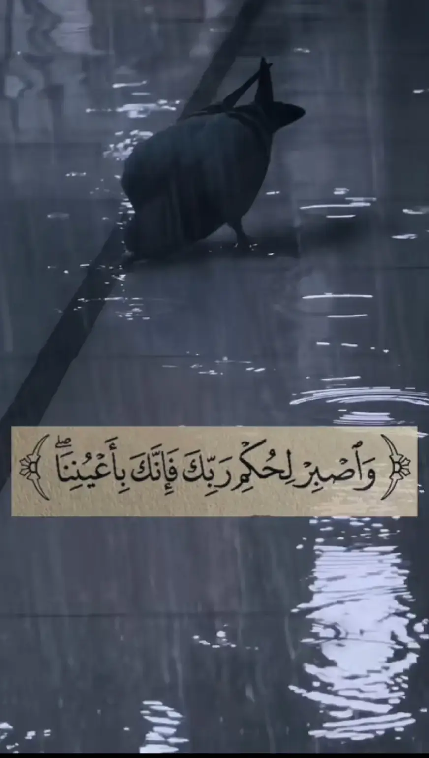 #ياعلي_مولا_عَلَيہِ_السّلام #دويتو 