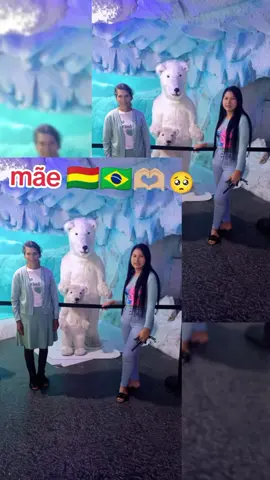 #sucrebolivia🇧🇴 #bolivianosenbrasil🇧🇴🇧🇷 #te🤱🏼amo🥺mucho🇧🇷🇧🇴mae