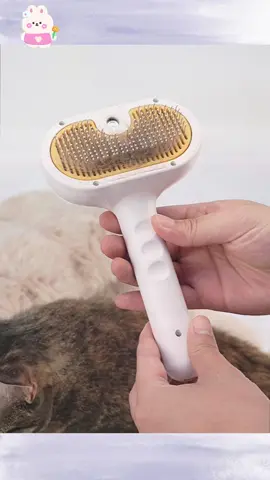 Pamper your baby's today   #petcaretips  #fyp #petcare #catbrush #petcomb #tiktokshop  #dealsforyoudays #steambrush 