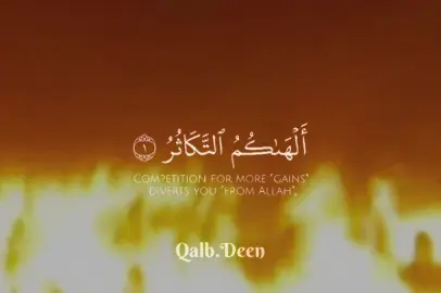 القرآن الكريم 🌿#الهكم_التكاثر_حتى_زرتم_المقابر #قران_كريم #اللهم_صلي_على_نبينا_محمد #لا_اله_الا_الله #fyp @𝐍𝐨_𝐌𝐮𝐬𝐢𝐜📚💙 