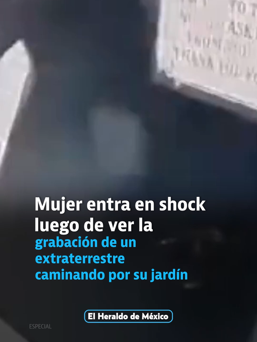 ¿Es real? Cámara sorprende a un extraterrestre merodeando por un jardín privado. ¿Qué opinas? #extraterrestre #alien #misterio