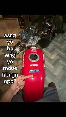 raurus#ninjass #2stroke #fypp 