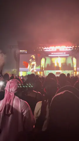You are so perfect and I love you, they could NEVER make me hate you baby @chrisbrownofficial #breezybowl #breezybowlxx #hersheypark #chrisbrownofficial 