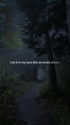 #music #mlmlyrics #songlyrics #foryourpage #lyrics 