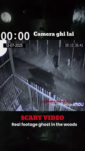 OMG. what is that #cctv #scary #horror #animal #ghost 