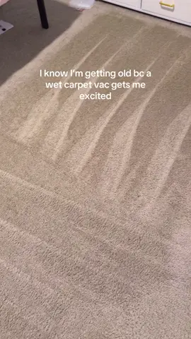 Ignore the mess we’re moving out so it’s just fair game in the home lol #wervac #dogowner #petmusthaves #homeimprovement 