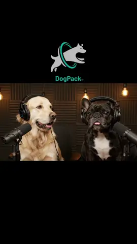 How much of your camera roll is pictures of your dog? Share your pics on DogPack App ❤️