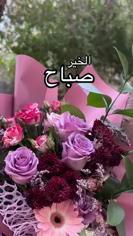 #صباح_الخير #اصبحنا_واصبح_الملك_لله #لا_اله_الا_الله_محمد_رسول_الله 