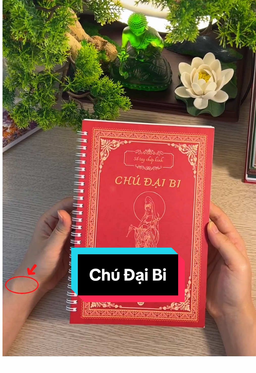 Chú Đại Bi #phatphap #phatphapnhiemmau #hocphatmoingay #chepkinh #sotaychepkinh #chudaibi #nammoadidaphat #minhantamnhan 