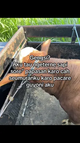 Jann salahku opoto🫠#perternakmuda #sobatngaret #fyyyyyyyyyyyyyyyy #foryou 
