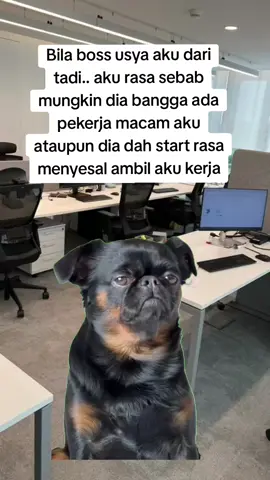 tapi aku rasa dia bangga dgn aku.. yela mana dapat staff macam aku ni #work #pinjamanwangberlesen  #funny #meme #malaysia #fyppppppppppppppppppppppp 