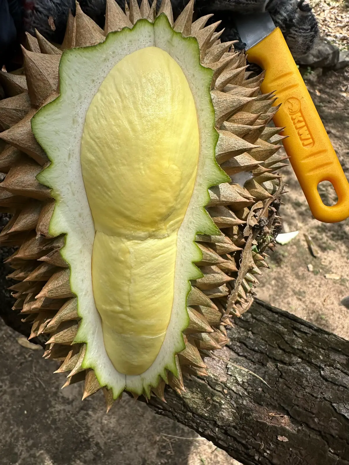 Thời điểm này cơm ntn được gọi là đỉnh chưa các bác 😃