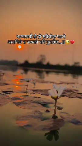 भाग्यमानी ले हो सबैथोक पाउने अभागिले त पायको पनि गुमाउँछ...!!🥹💔