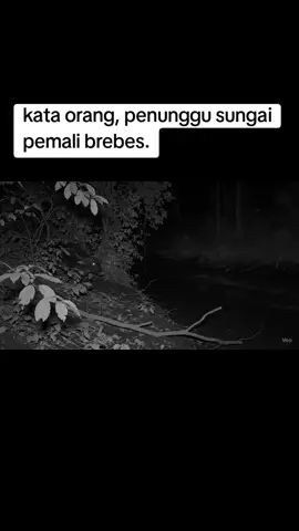 katanya , penunggu sungai pemali di brebes #penampakan #horror #lokal 