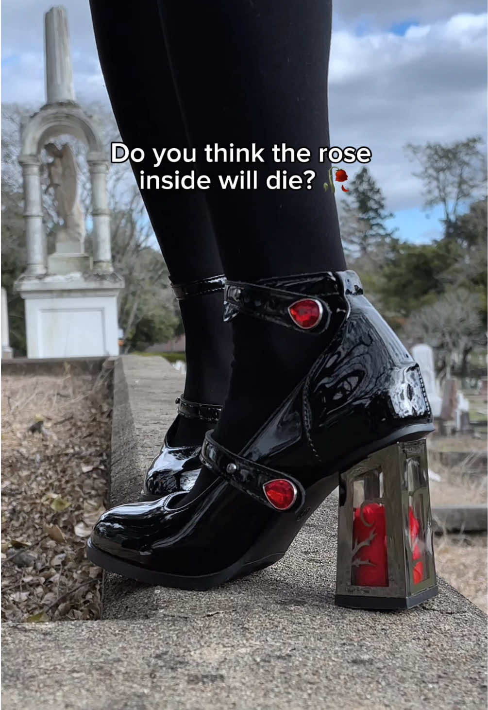 Will the rose wither? 🖤🥀 #gothgirl #goth #gothfashion 