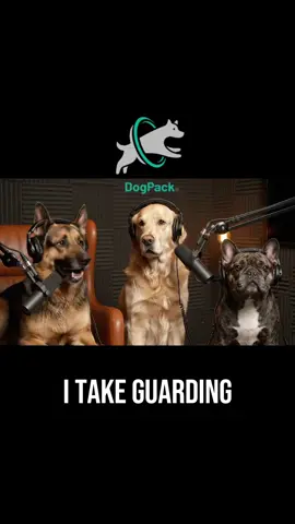 Who here has a GSD?! 😭😅