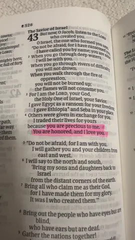 i love you 🤍#christian #nltbibleversion #christiantiktok#biblestudy #bibleverse #seekjesuschrist#isaiah #fyppppppppppppppppppppppp 