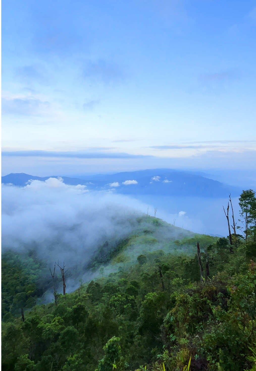 Tolong Jangan kotori gunung seindah ini dengan sampah yang dibuang sembarangan!! Minimal bawa turun sampahmu sendiri!! #gunungseminung #hendraadv #fyp #pendakigunung 
