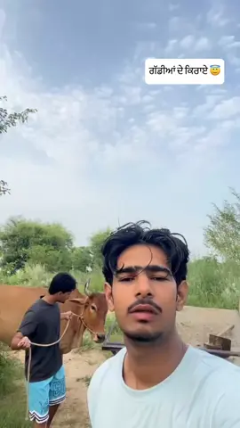 💔🥀 #foryou #foryoupage #trending #trend #virlvideo #tiktok #capcut #punjab #punjabi #pindawale #surry #bramptonale #🥺 #❤️‍ #🥀🖤 