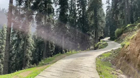 Some where in swat 🌸🌻🔥🌫🌫🌫🌫🌫😉#supportmeguys😇loveyouall❤️ 