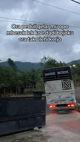 Sampai bertemu kembali di waktu yang baik yaa dekk😇 #fyp #drivermuda 