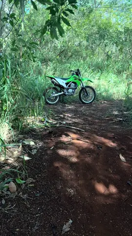 Where have you been 🤩 #viral #fyp #klx300r #kawasaki #dirtbike #bajalight #hawaii #iphone16plus #dirt #trail 