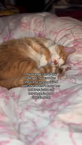 How Evangeline sleeps knowing she’s got nowhere to be tomorrow #cat #jesusisking 