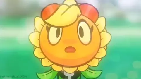 #pvz 
