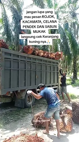 Buah jumbo/SawitRiau#fypシ゚viral🖤tiktok #fypシ゚viral #palmoil #youtube #vidioviral 