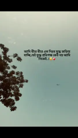 I am slowly becoming involved in a silent war, in which no one is the opponent but myself..!😅❤️‍🩹 .. .. .. #Sharjah_top_2#dubaivideo#foryou#yyyyyyyyyyyyyyy#vairalvideo